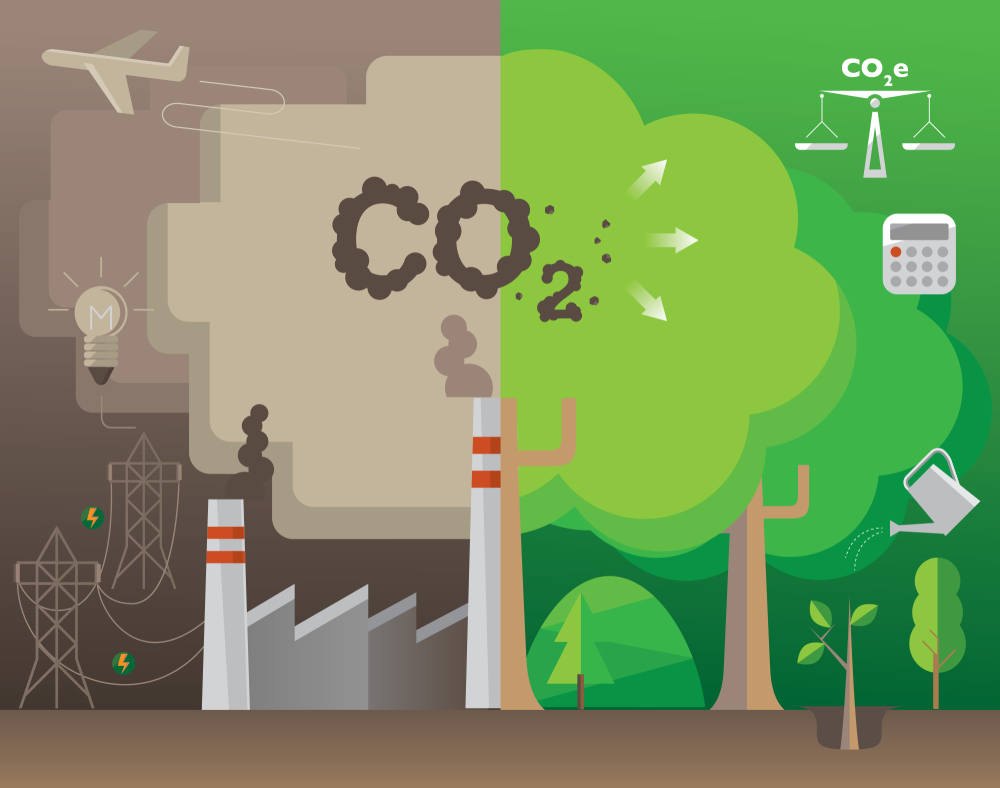 carbon footprint how to calculate