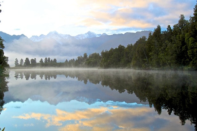 reflection, water, forrest