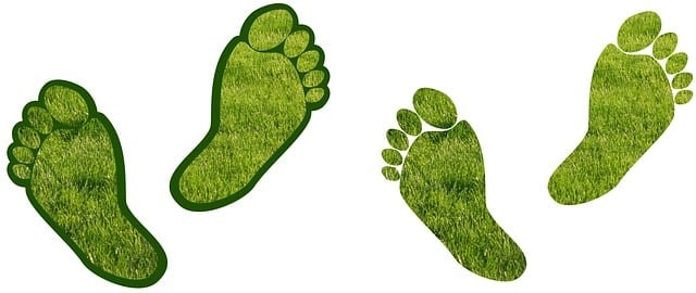 how to reduce carbon footprint uk