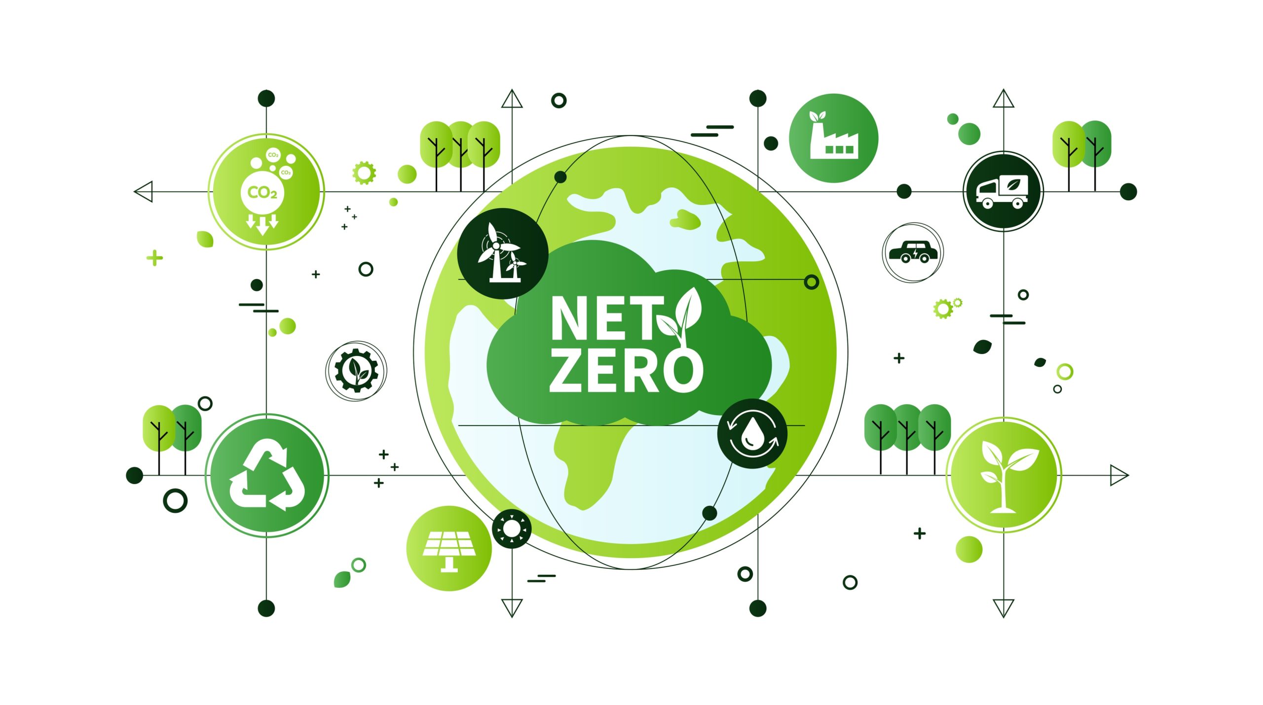 Net zero carbon