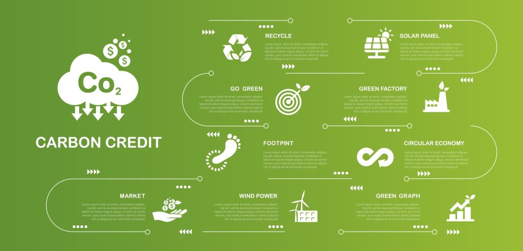 what is carbon emission circle